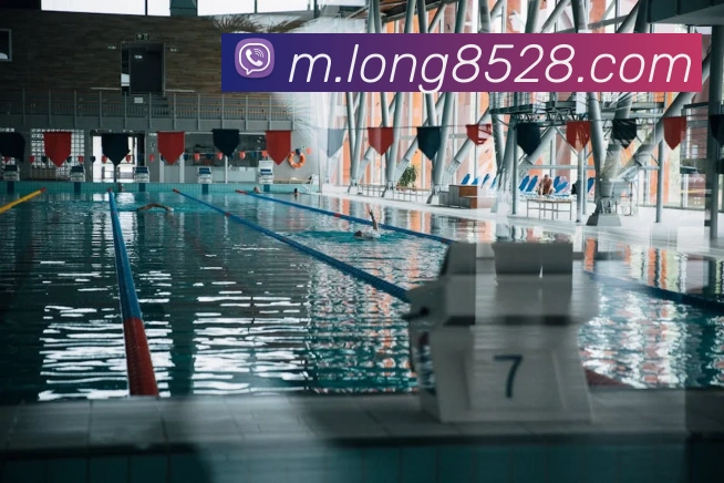 龙8-long8(国际)官方网站APP 封面图